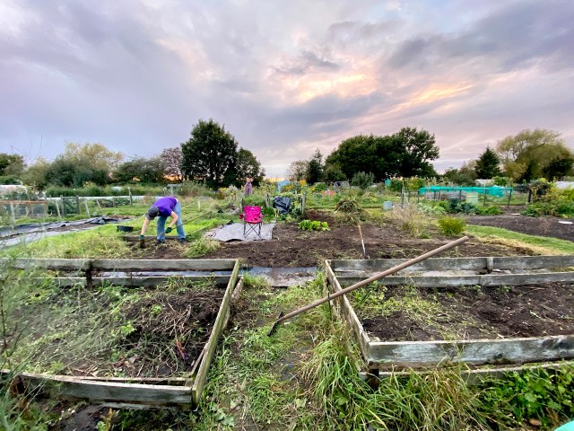 clearing an allotment site