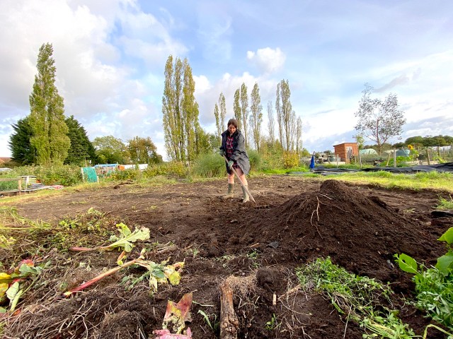 levelling the ground at allotment