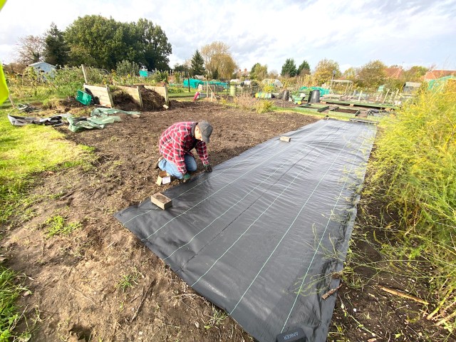 covering an allotment with landscaping fabric
