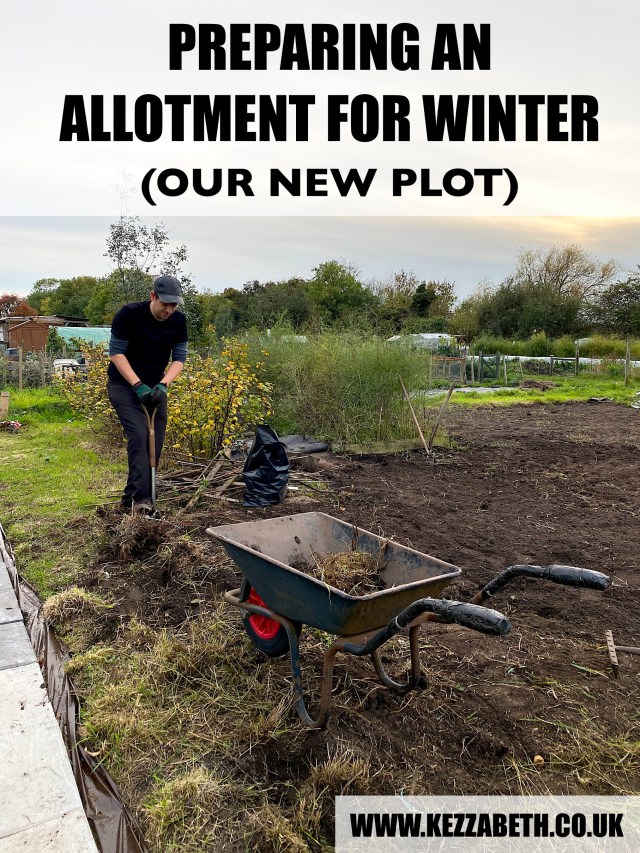 preparing an allotment for winter - our new plot