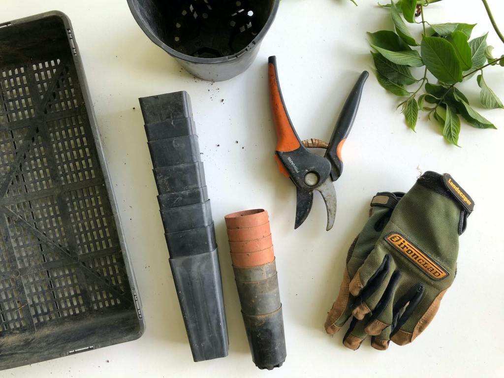 Only buy the gardening essentials you really need