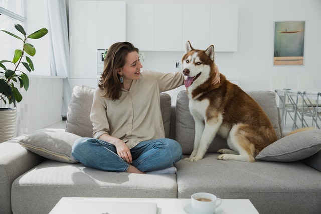 A woman and a dog sitting on a couch.