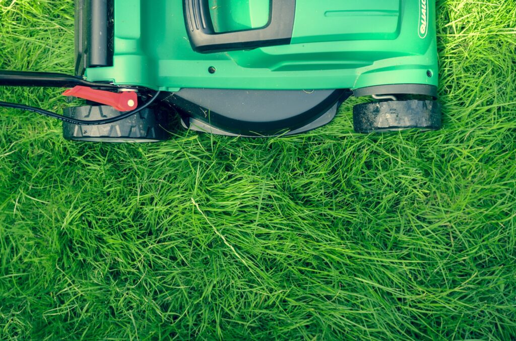 A lawn mower on thick grass.