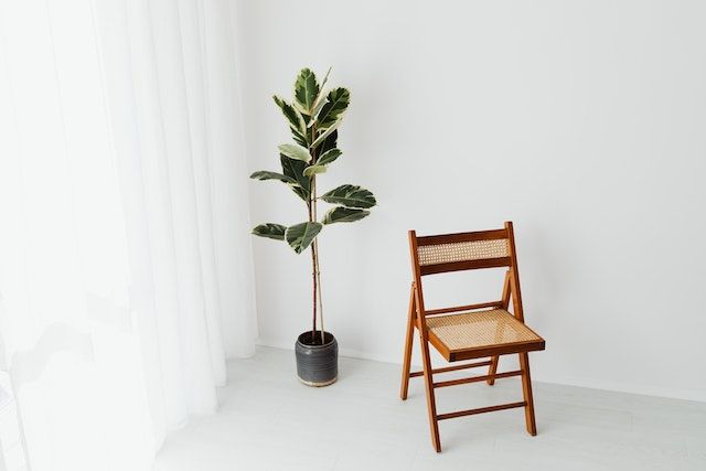 A folding chair and plant in a white room.